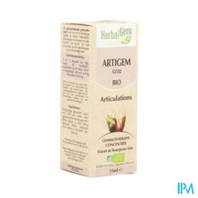 Afbeelding in Gallery-weergave laden, Herbalgem Artigem Complex 15ml
