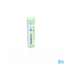 Afbeelding in Gallery-weergave laden, Causticum Hahnemanni 5ch Gr 4g Boiron
