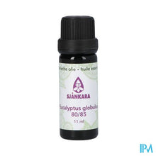 Afbeelding in Gallery-weergave laden, Sjankara Eucalyptus Glob. 80/85 Ess. Olie Bio 11ml
