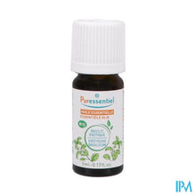 Load image into Gallery viewer, Puressentiel Eo Basilicum Bio Expert 5ml
