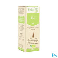 Herbalgem Els Maceraat 15ml