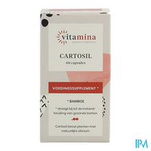 Afbeelding in Gallery-weergave laden, Vita Mina Cartosil Caps 60
