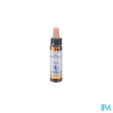 Afbeelding in Gallery-weergave laden, Healing Herbs Red Chestnut 10ml
