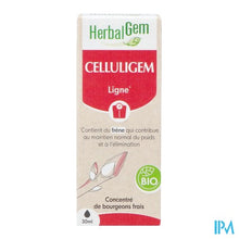 Afbeelding in Gallery-weergave laden, Herbalgem Celluligem Bio 30ml
