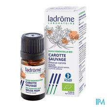 Afbeelding in Gallery-weergave laden, Ladrome Daucus Carota/wilde Peen 5ml
