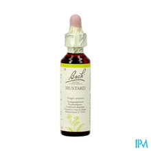 Afbeelding in Gallery-weergave laden, Bach Flower Remedie 21 Mustard 20ml
