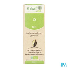 Load image into Gallery viewer, Herbalgem Es Maceraat 50ml
