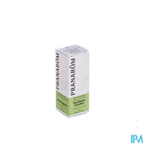 Wintergreen Ess Olie 10ml Pranarom