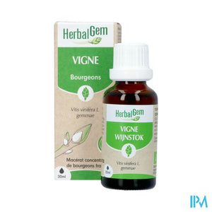 Herbalgem Wijnstok Maceraat Bio 30ml