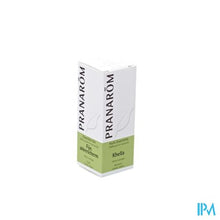 Load image into Gallery viewer, Pranarom Eo Khella 5ml
