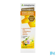 Load image into Gallery viewer, Arkoroyal Keelspray Verzachtend 30ml

