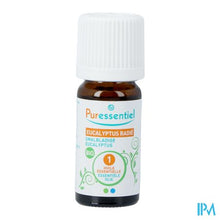Afbeelding in Gallery-weergave laden, Puressentiel Eo Eucalypt.rad.bio Exp.10ml
