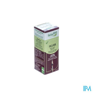 Herbalgem Vijgenboom Maceraat 15ml