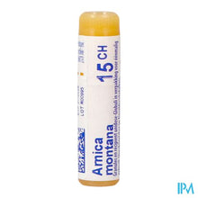 Afbeelding in Gallery-weergave laden, Arnica Montana 15ch Gl Boiron
