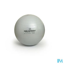 Chargement de l'image dans la galerie, Sissel Ball Securemax Sitting Ball Diam.75cm Grey
