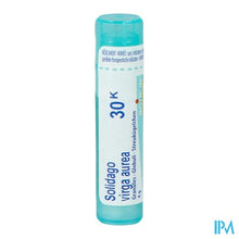 Afbeelding in Gallery-weergave laden, Solidago Virgaurea 30k Gr 4g Boiron
