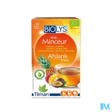 Load image into Gallery viewer, Biolys Guarana Gr. Thee Exotisch Vruchten Zakje 24
