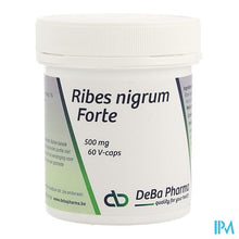 Afbeelding in Gallery-weergave laden, Ribes Nigrum V-caps 60 Deba
