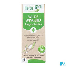 Afbeelding in Gallery-weergave laden, Herbalgem Wilde Wingerd Bio 30ml
