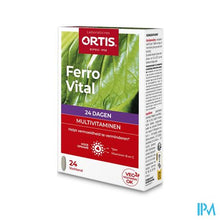Afbeelding in Gallery-weergave laden, Ortis Ferro Comp 24
