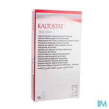 Afbeelding in Gallery-weergave laden, Kaltostat Verb 10,0x20,0cm Ster 10s
