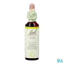 Load image into Gallery viewer, Bach Flower Remedie 23 Olive 20ml
