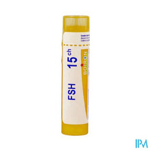 Afbeelding in Gallery-weergave laden, Fsh 15ch Gr 4g Boiron
