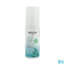 Afbeelding in Gallery-weergave laden, Weleda Hydra Gezichtsspray 24u Vijgencactus 100ml
