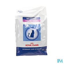 Afbeelding in Gallery-weergave laden, Vcn Young Male Feline So 1,5kg
