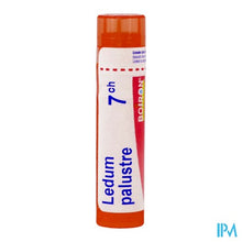 Load image into Gallery viewer, Ledum Palustre 7ch Gr 4g Boiron
