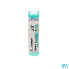 Afbeelding in Gallery-weergave laden, Solidago Virgaurea 30k Gr 4g Boiron
