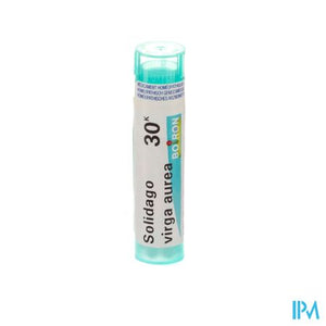 Solidago Virgaurea 30k Gr 4g Boiron