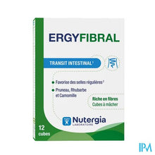 Afbeelding in Gallery-weergave laden, Ergyfibral Blokje 12
