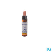 Load image into Gallery viewer, Healing Herbs Crab Apple 10ml
