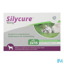 Afbeelding in Gallery-weergave laden, Silycure 160mg Comp 2x15
