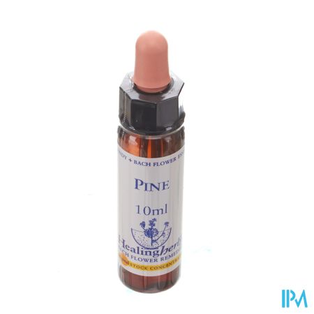 Healing Herbs Pine 10ml