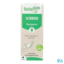 Afbeelding in Gallery-weergave laden, Herbalgem Lijsterbes Bio 30ml
