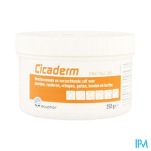 Afbeelding in Gallery-weergave laden, Cicaderm Zalf 250g
