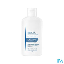 Load image into Gallery viewer, Ducray Kelual Ds Sh Verzorg. Hardnek. Roos 100ml
