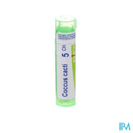 Coccus Cacti 5ch Gr 4g Boiron