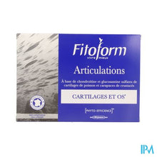 Afbeelding in Gallery-weergave laden, Articulations Amp 20x10ml Fitoform
