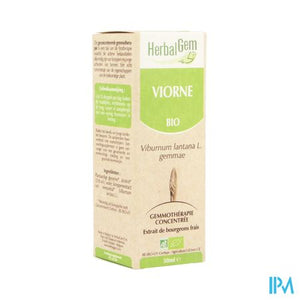 Herbalgem Wollige Sneeuwbal Maceraat 50ml