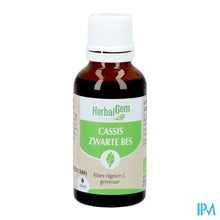 Afbeelding in Gallery-weergave laden, Herbalgem Zwarte Bes Bio 30ml
