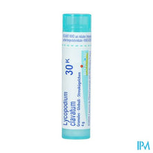 Afbeelding in Gallery-weergave laden, Lycopodium Clavatum 30k Gr 4g Boiron
