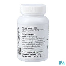 Afbeelding in Gallery-weergave laden, Groene Thee 500 V-caps 60 Pharmanutrics
