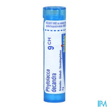 Afbeelding in Gallery-weergave laden, Phytolacca Decandra 9ch Gr 4g Boiron
