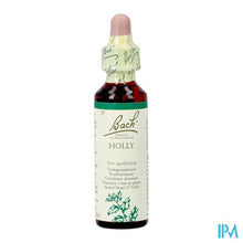 Afbeelding in Gallery-weergave laden, Bach Flower Remedie 15 Holly 20ml
