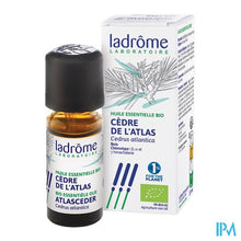 Afbeelding in Gallery-weergave laden, Ladrome Cedrus Atlantica - Atlasceder 10ml

