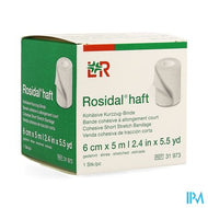 Rosidal Haft Cohesieve Windel 6cmx5m 1 31973