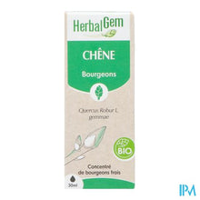 Afbeelding in Gallery-weergave laden, Herbalgem Eik Bio 30ml
